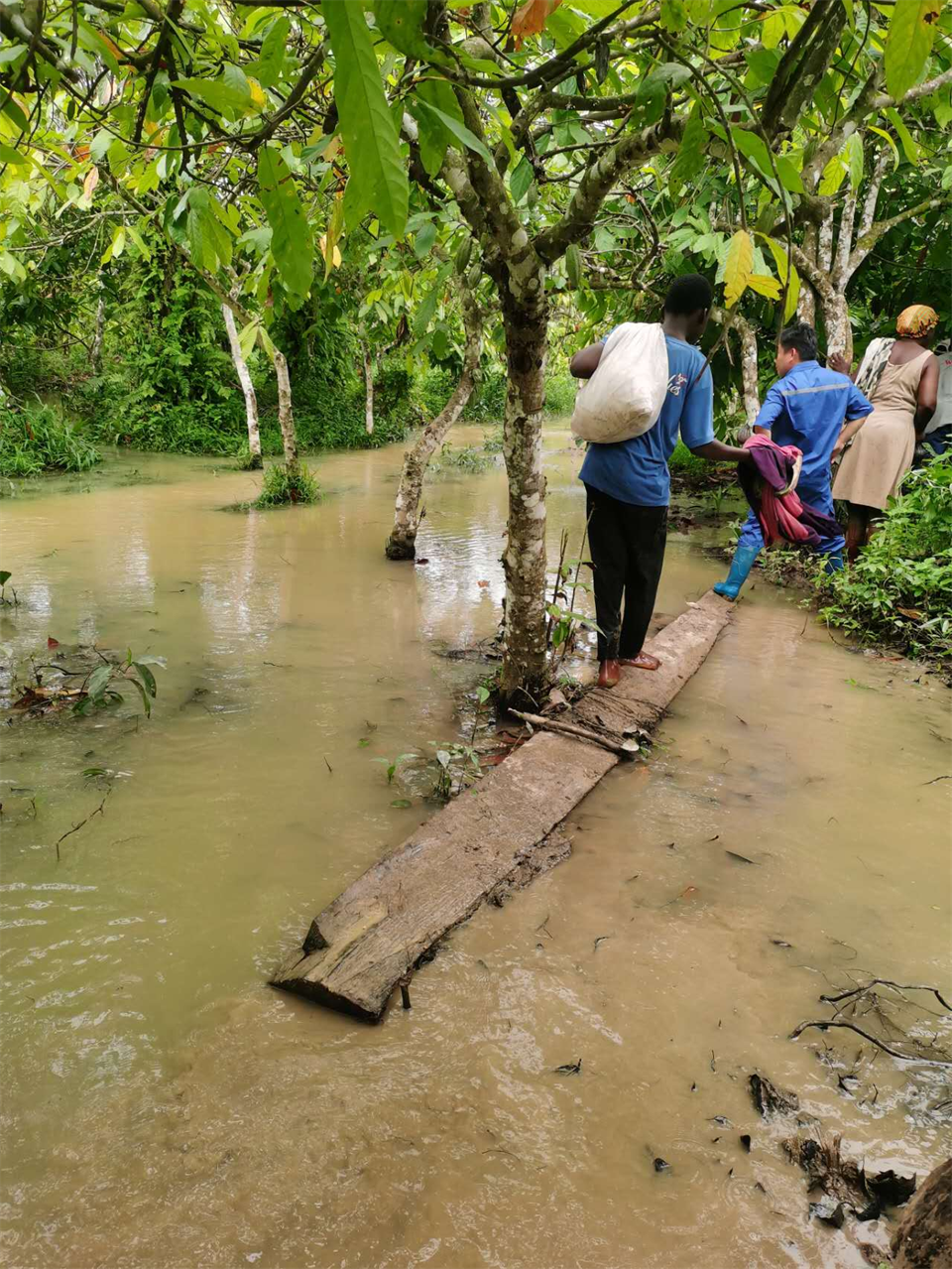 品质黄金甲体育，用心服务！黄金甲体育智能服务万里行活动走进非洲加纳