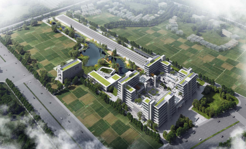 近20台“黄金甲体育绿”装备实力集结，助力广佛西环工程建设跑出“加速度”